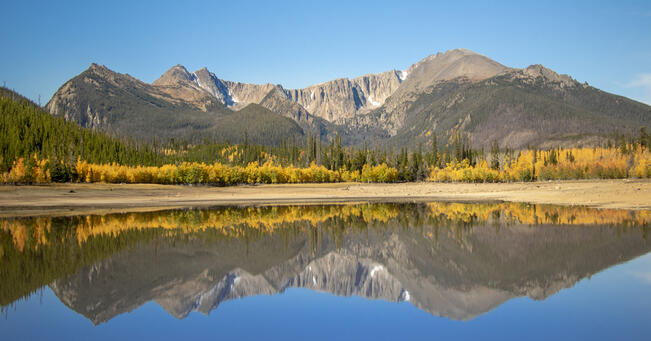 Perfect Mirror