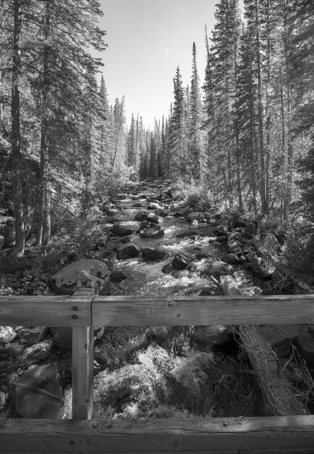 Over the Bridge