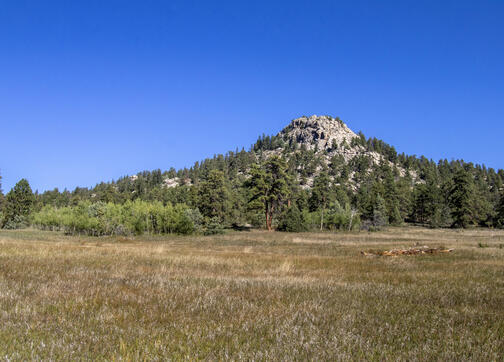 Roosevelt Ridge