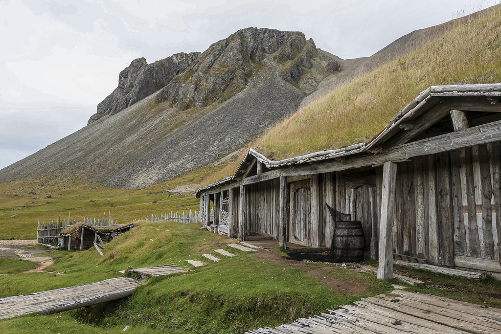Grass Roof