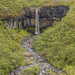 Svartifoss