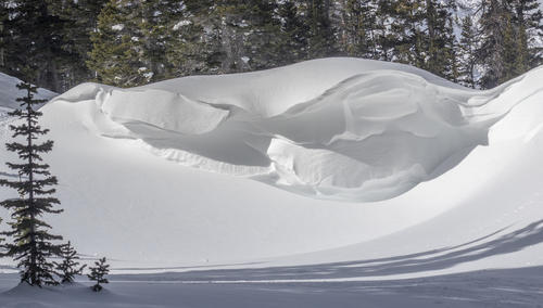 Massive Snowdrift