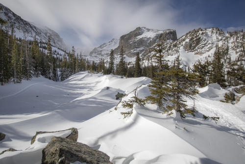 Waves of Snow