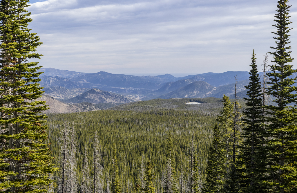 Bierstadt Lake