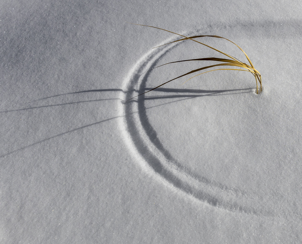 Simple Arcs