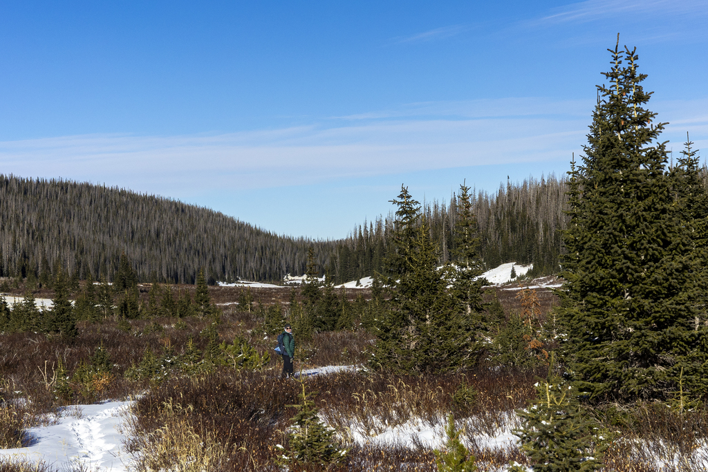 Near the End of the Trail