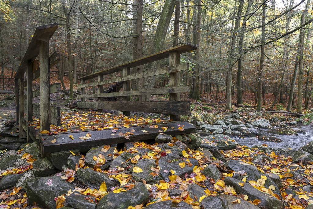 Many Bridges