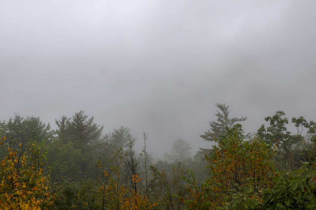 Foggy