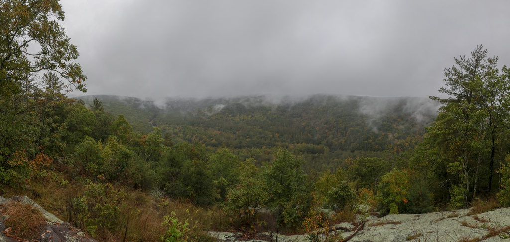 Lifting Fog