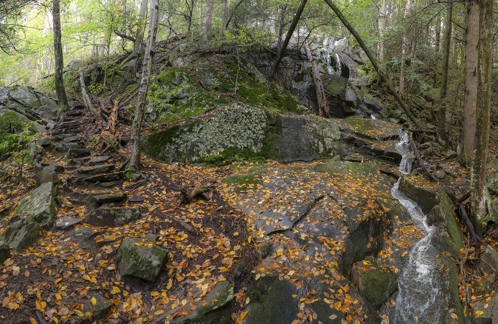 Waterfall and Steps