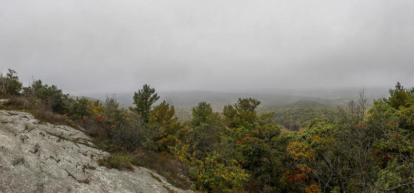 Foggy Summit
