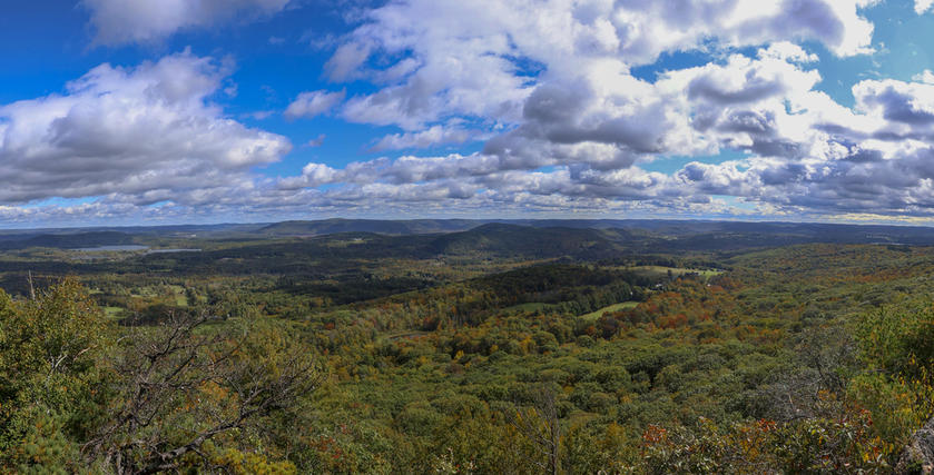 Lions Head Panorama