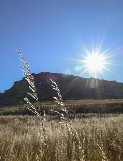 Bright Sun