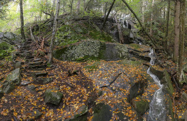 Peoples State Forest