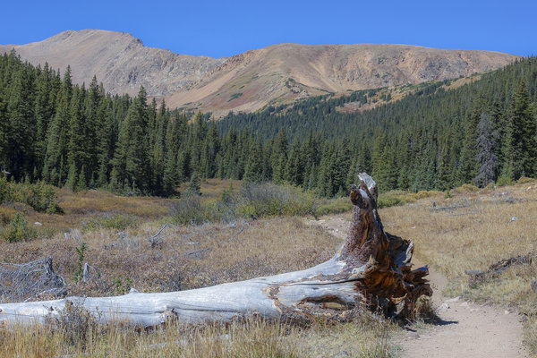 Herman Gulch