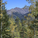 Mountains Through the Trees