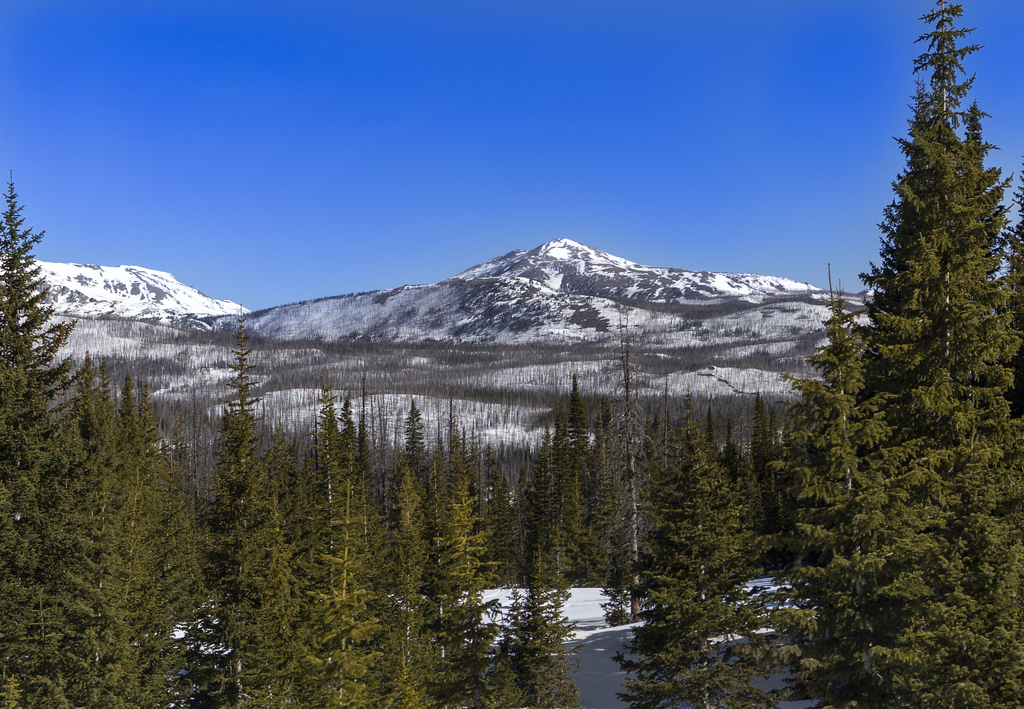Cameron Peak Burn