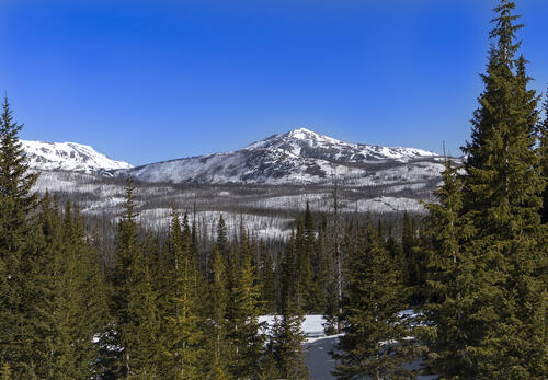 Cameron Peak Burn