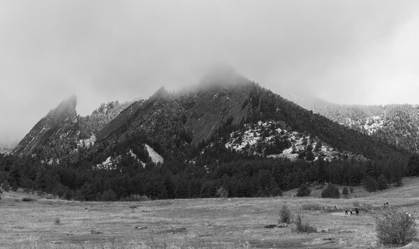 Chautauqua Again