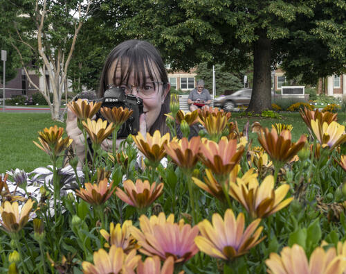 Back to the Daises