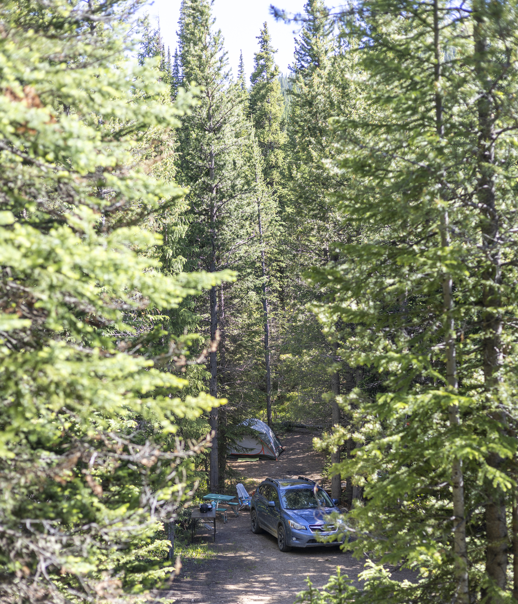 Campsite