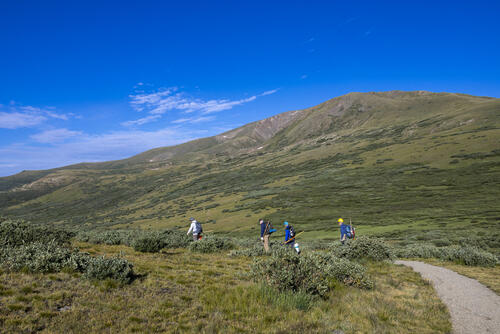 Trail Workers
