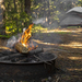 Firepit