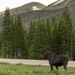 In the Mountains