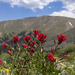 Ruby Gulch