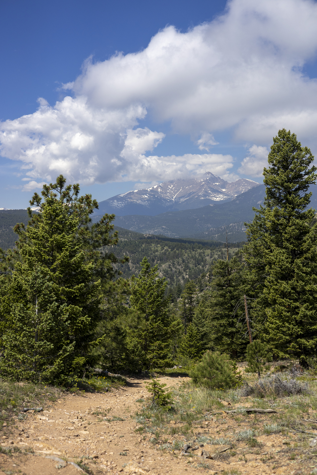 Longs and Meeker
