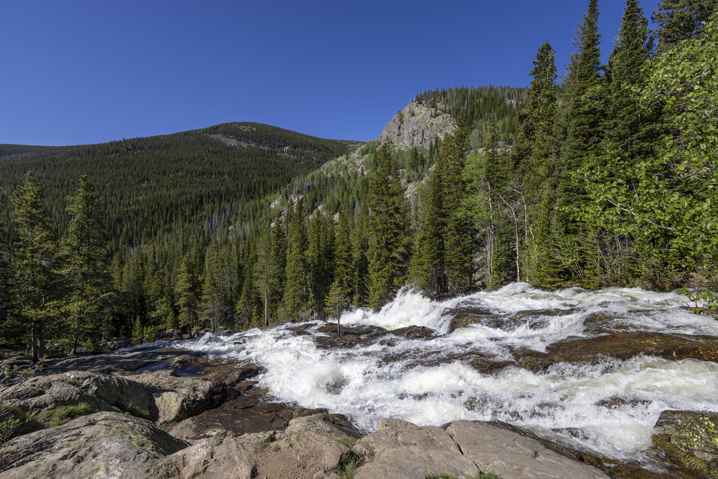 Top of the Cascades