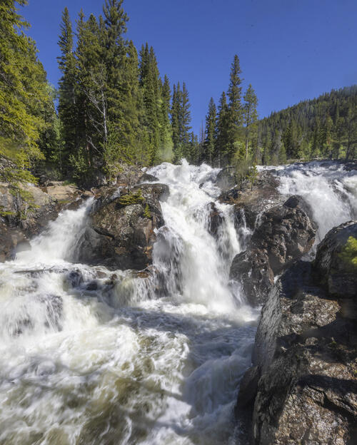 Cascades