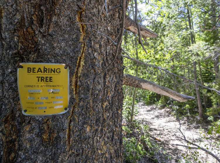 Off the Trail