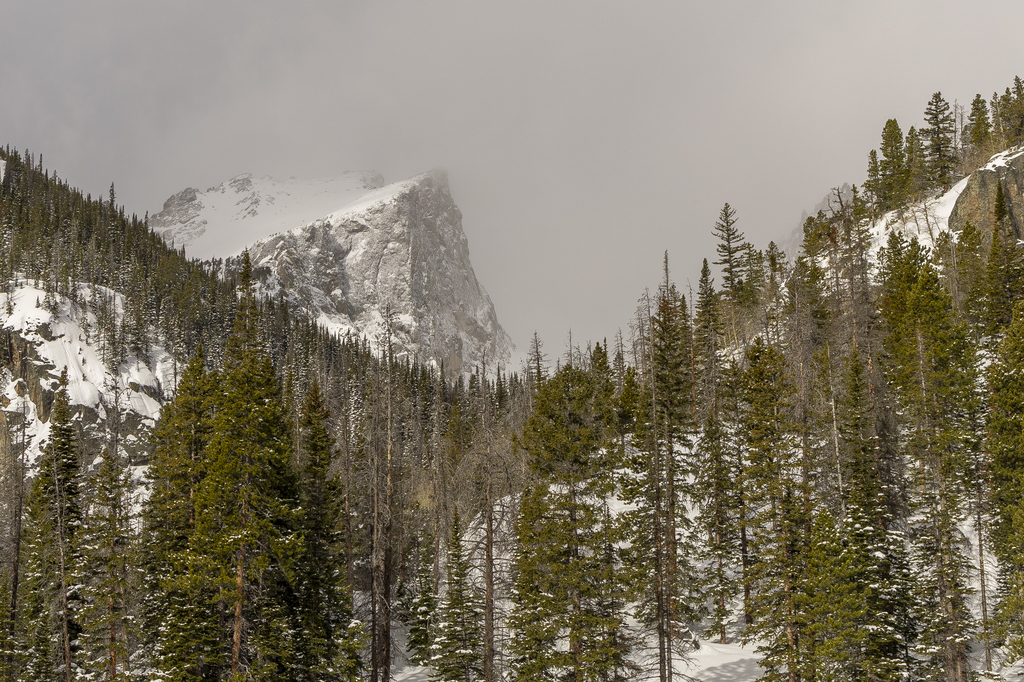 Hallet Peak
