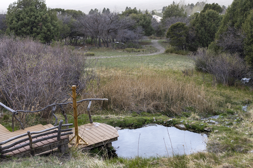 Meadow Pond