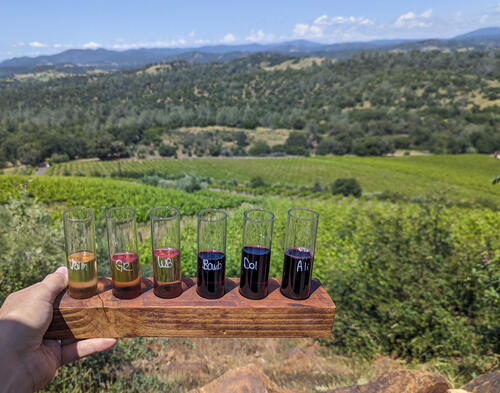 Wine in California