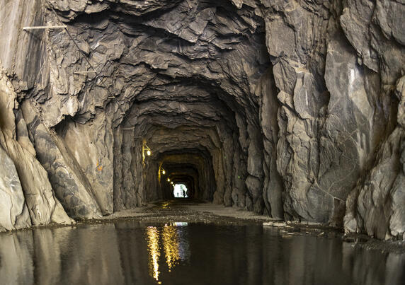 Through the Tunnel