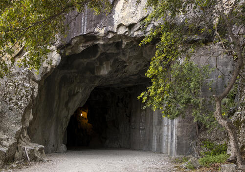 Back Through the Tunnel
