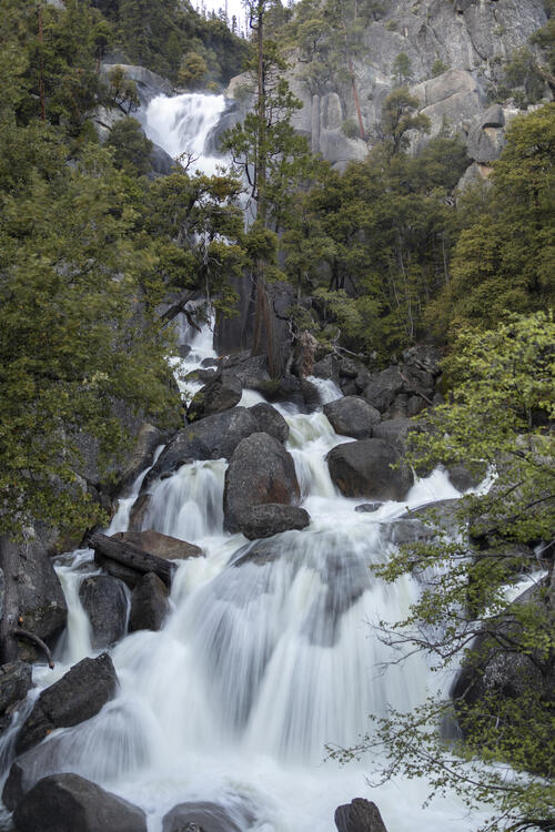 Cascade Glade