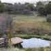 Meadow Pond