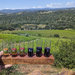 Wine in California