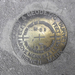 Hetch Hetchy Survey Marker