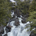Cascade Glade