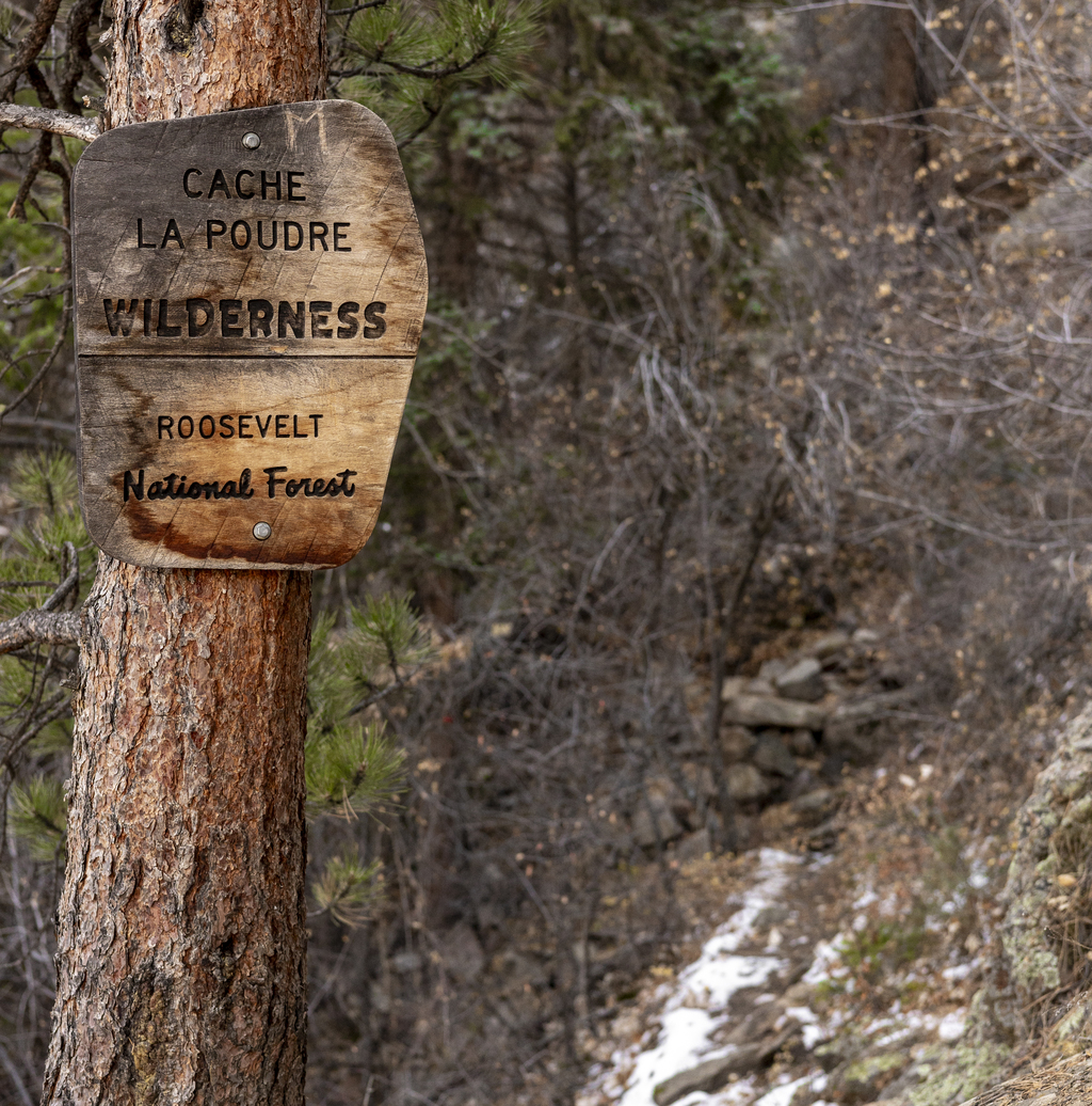 Wilderness