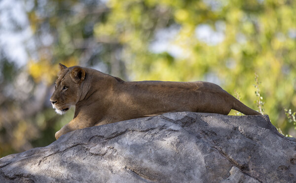 Resting Up High