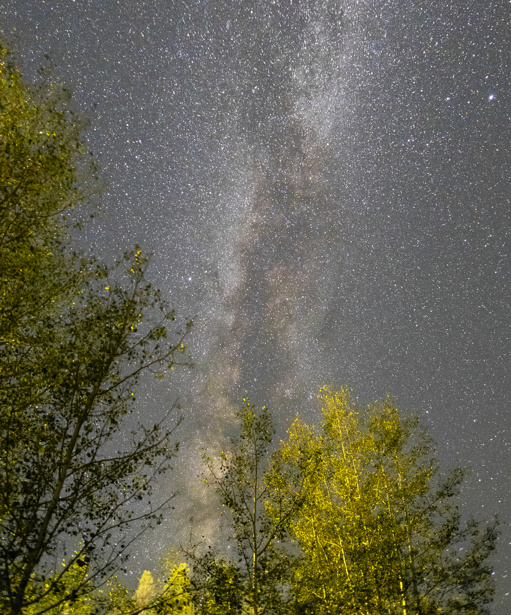 Clear Skies
