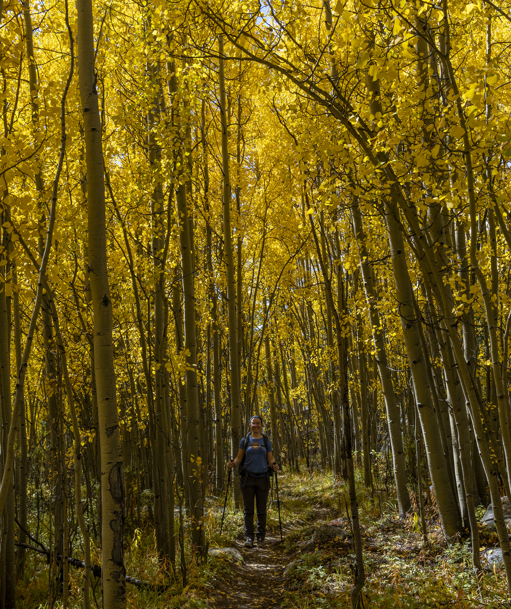 Hiking Though the Aspens