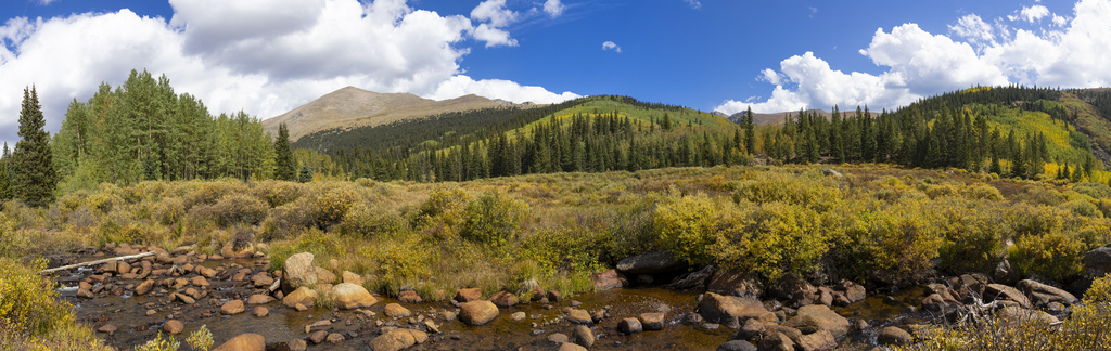 Scott Gomer Creek