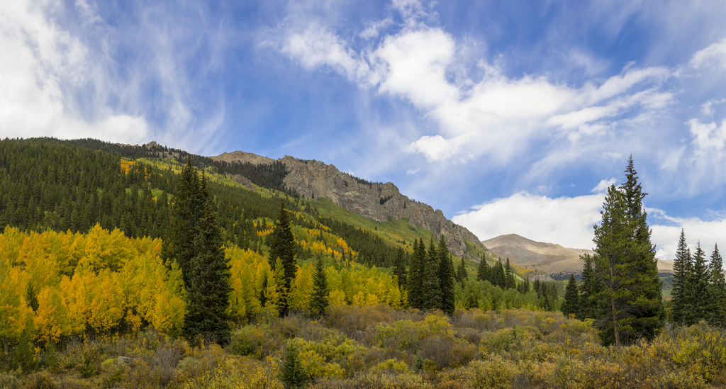 Mountain of Aspens