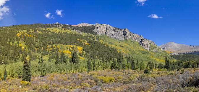 Geneva Mountain